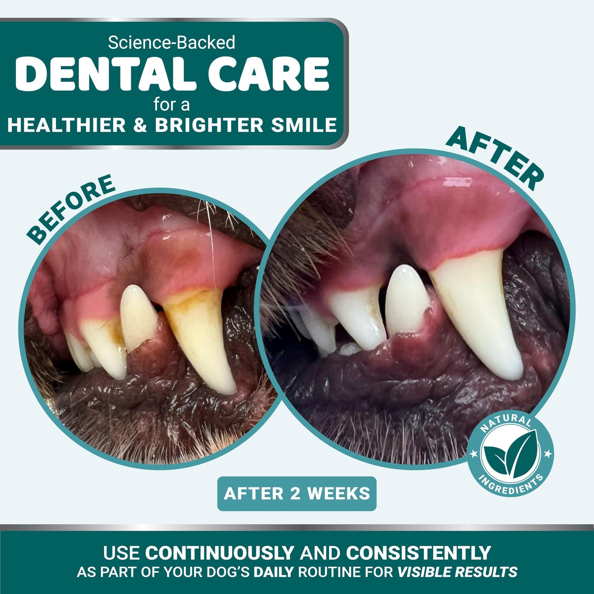 Transform Your Dog's Smile: Powerful Dental Powder for Fresh Breath and Healthy Teeth - Tartar & Plaque Remover for All Breeds!