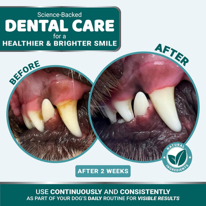 Transform Your Dog's Smile: Powerful Dental Powder for Fresh Breath and Healthy Teeth - Tartar & Plaque Remover for All Breeds!
